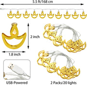 Metal Diwali Diya String Lights - Warm White USB LED Electric Diya Lights for Diwali Gifts, Mandir, Altar, Shrine Pooja Decor - Reusable Hindu Festival Wedding Puja Decorations(2-Pack)