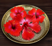 BRACOP® Brass Pooja Thali Indian Aarti Thali Pooja Samagri Decorative Plate Puja Thali Religious Items Home Temple Accessories Round Shape Serving Platters Gifts Set Of 5 Pcs Diwali Gifts