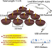 Diwali Diyas String Lights Decor - 10 LED Diyas Lights USB Operated Indian Pooja Room Home Office Mandir Puja Gifts Hindu Wedding Light