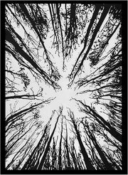 AVA Collections Tapestry Multicoloured Wall Hanging Psychedelic Tapestries Indian Cotton Poster Picnic Sheet Wall Decor Blanket Wall Art Hippie Bedroom Décor (Purple, Meditation Yoga)