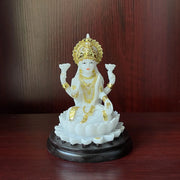 4.3inch Resin Hindu Goddess Figurine Buddha Statue Stylish Elegant Tabletop Decoration Tall for Fairy Garden Easily Clean