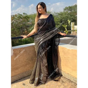 Indian Saree Dress for Women Ethnic Party Costume Traditional Sari Wedding Reception/Bharatanatyam Dance Performance No Tops