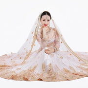 2025 indian traditional sari gauze embroidery exotic style women veil ethnic elegant long shawl women elegant indian shawl s590